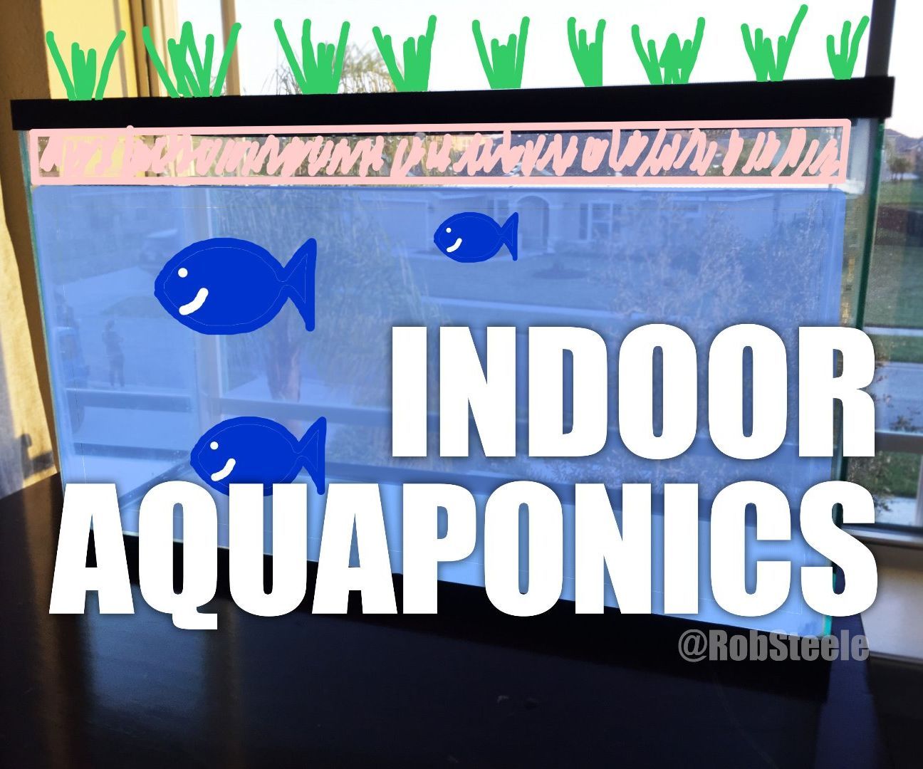 Indoor Aquaponics