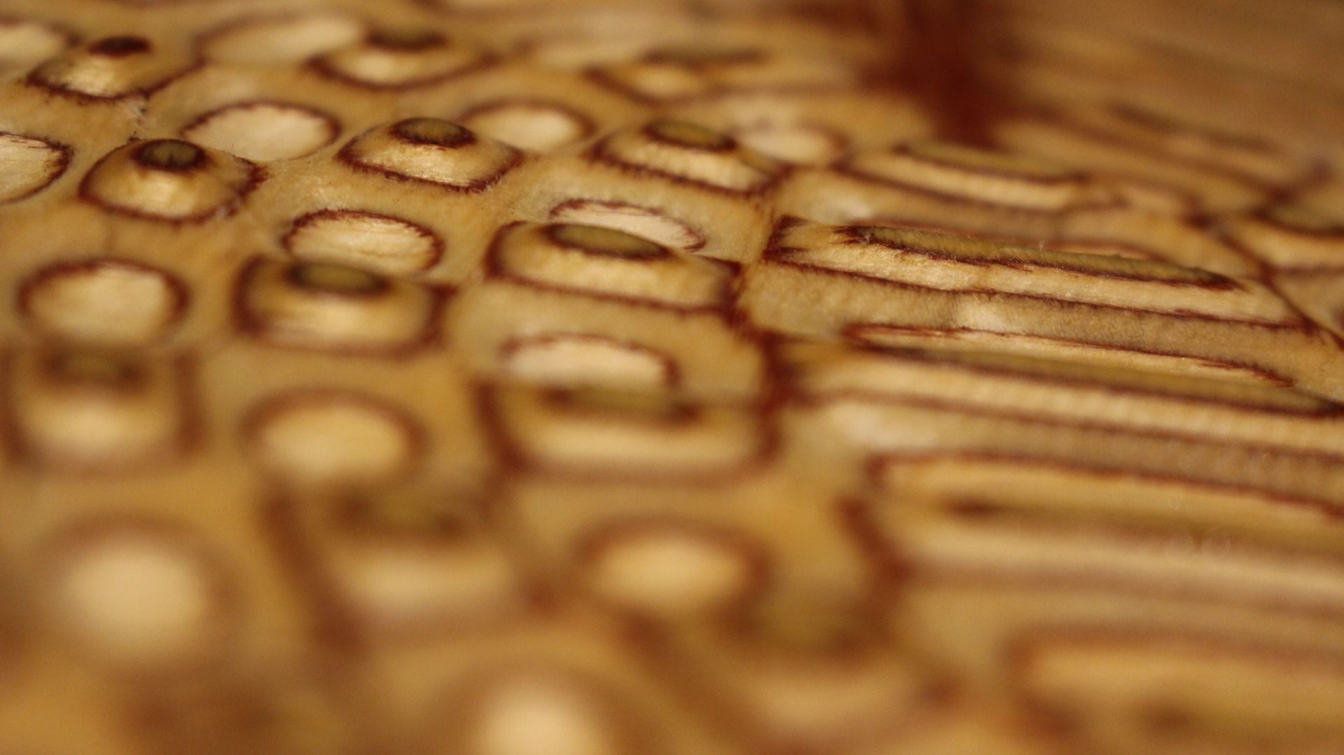 How to Carve Liquid Plywood Patterns 3 Steps (with Pictures