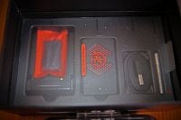Wingsland S6 Final Review
