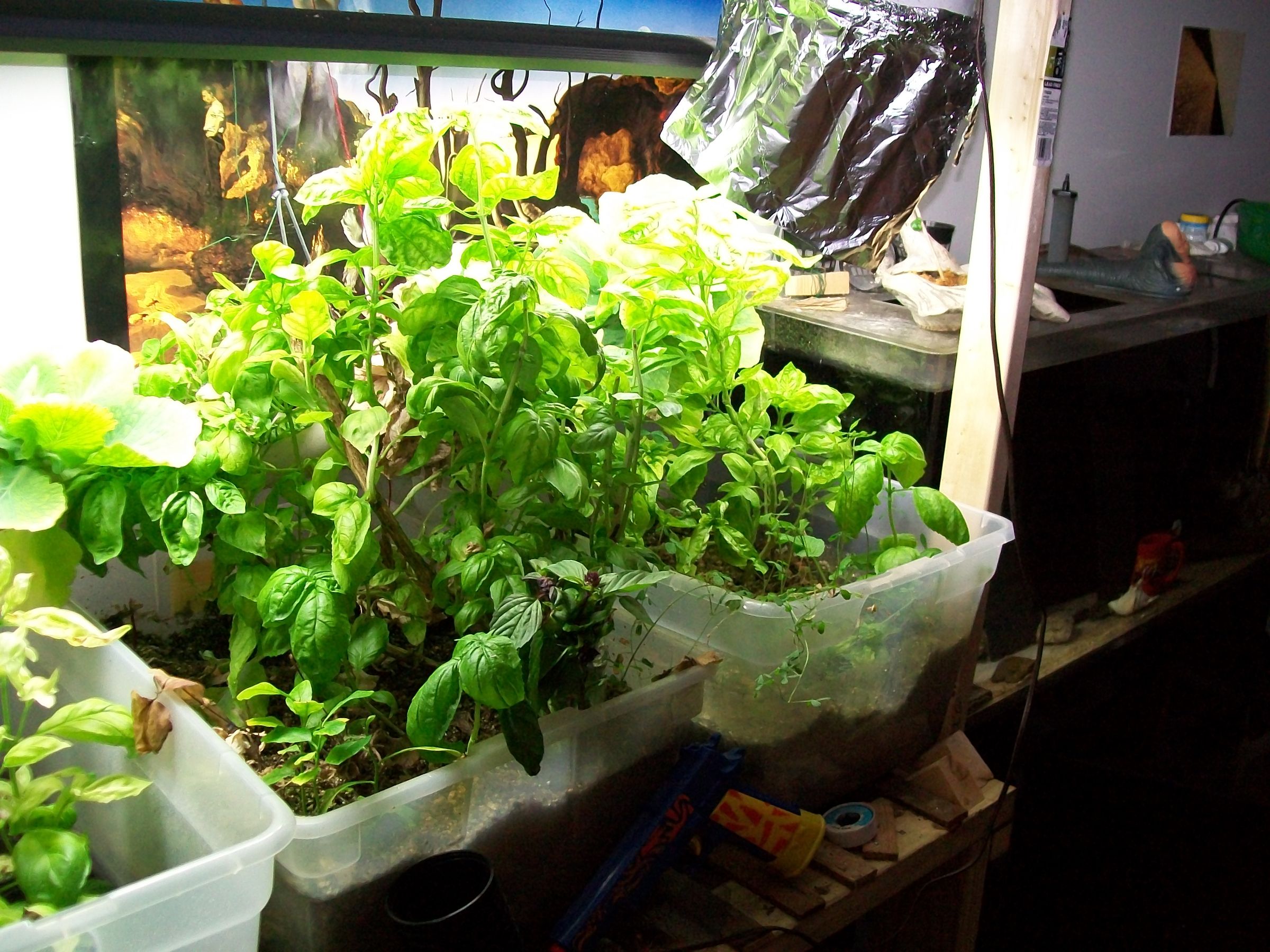 Vertical Aquaponic Garden 7 Steps Instructables
