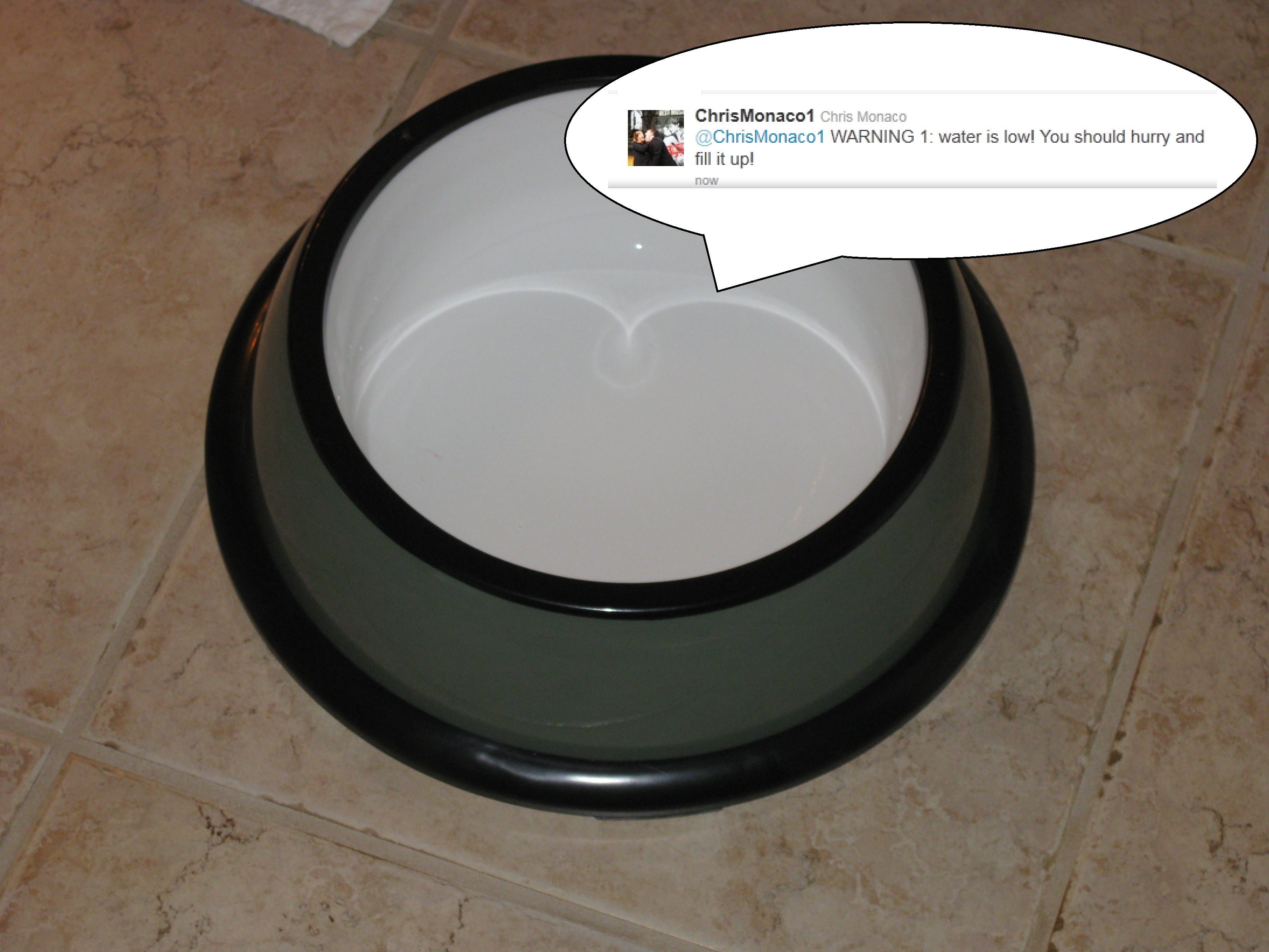 Tweeting Pet Bowl