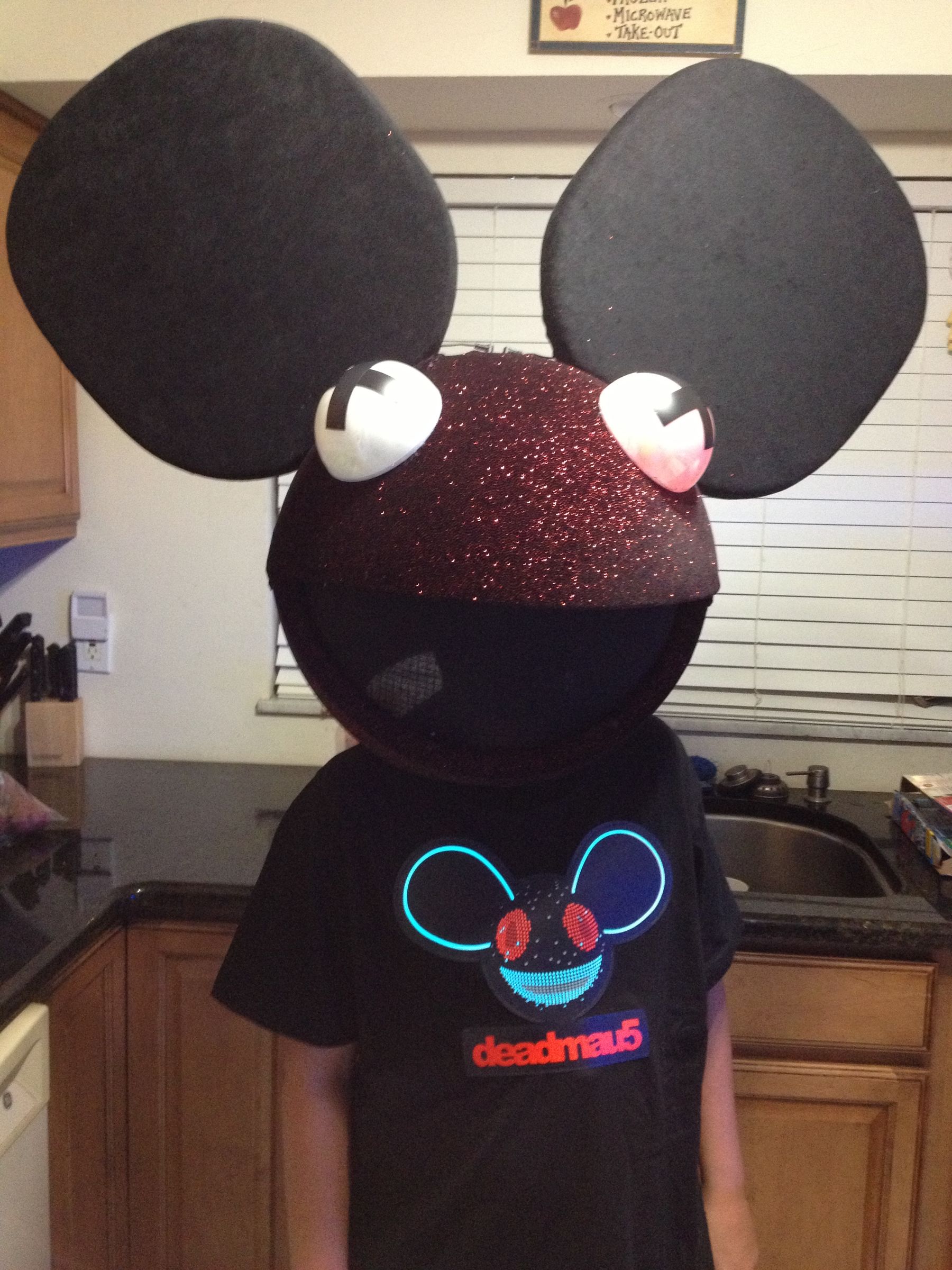 Home Made Deadmau5 Costume