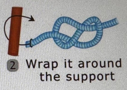 Make Your First Loop