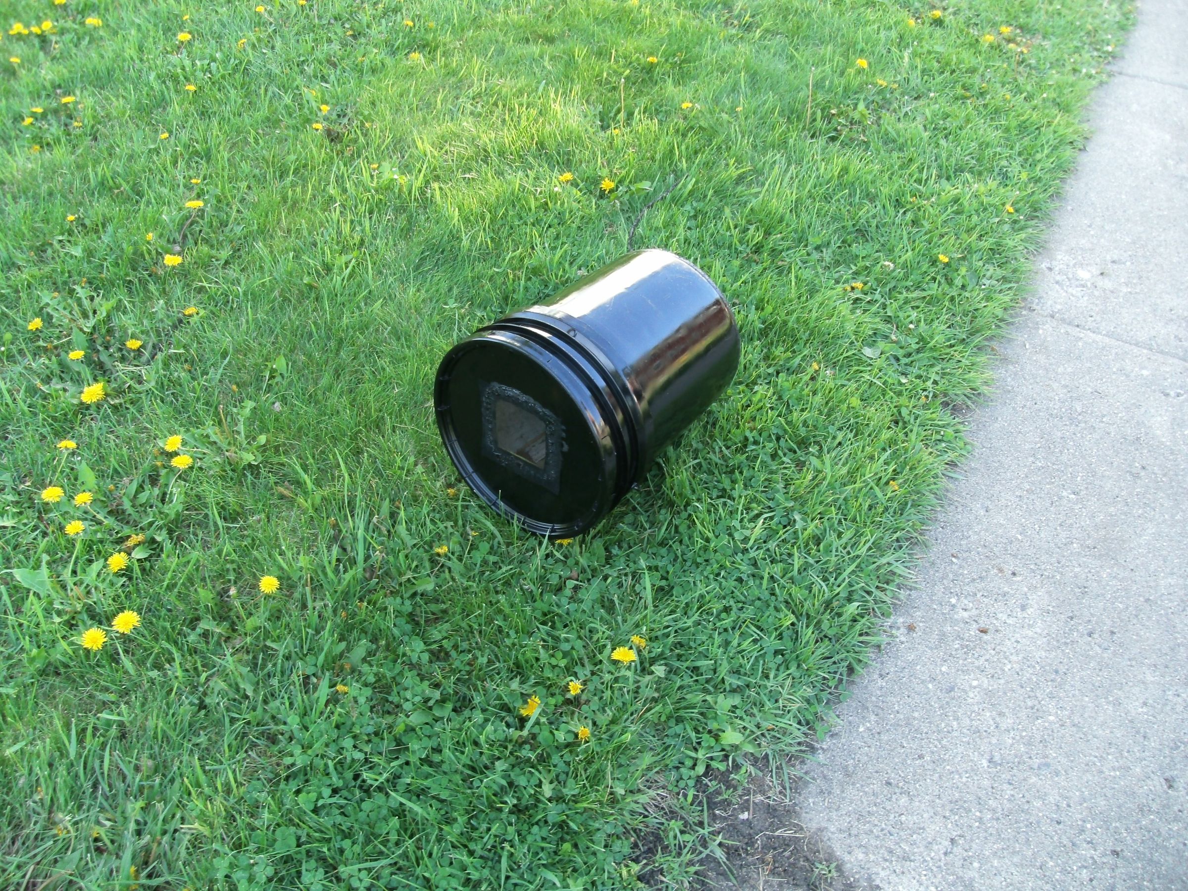 Free Composter for Beginners