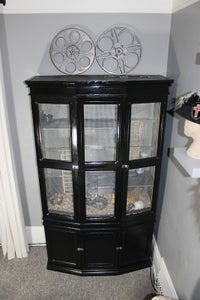 Rat Cabinet From a Dinning Room Hutch