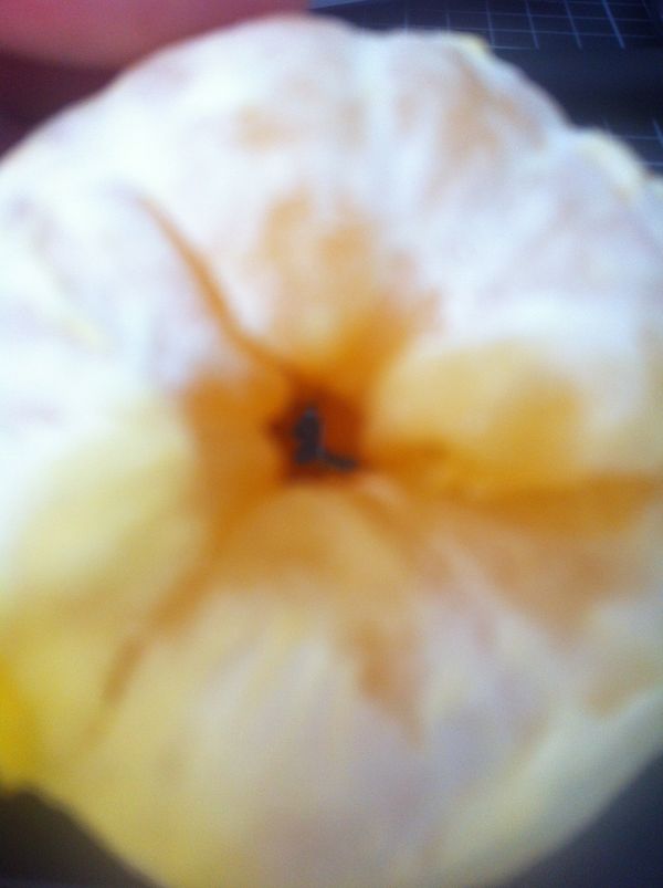 How to Peel an Orange