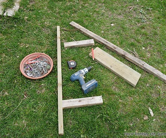 How to Build a Chicken Roost