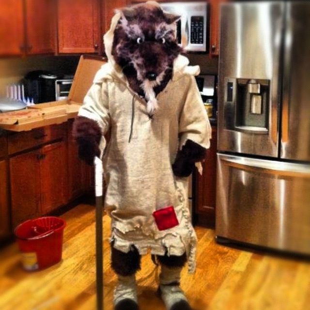 Splinter build