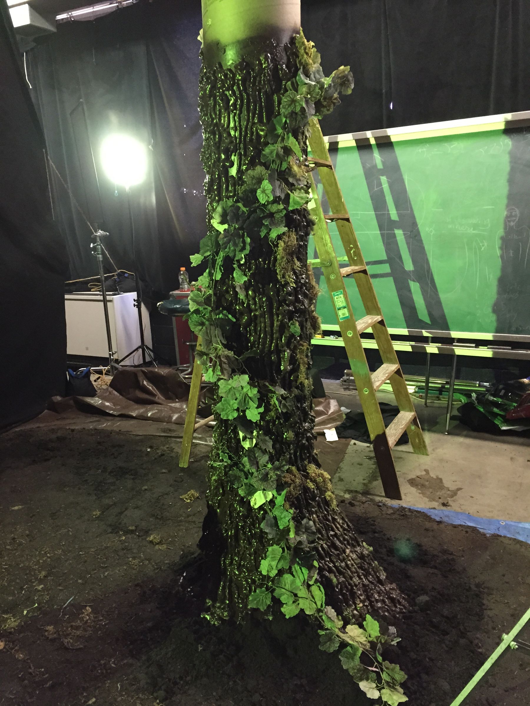 Mystical Tree