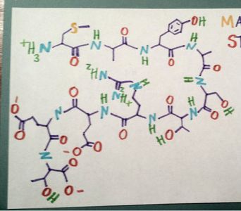 How to Draw Peptide Chains : 18 Steps (with Pictures) - Instructables