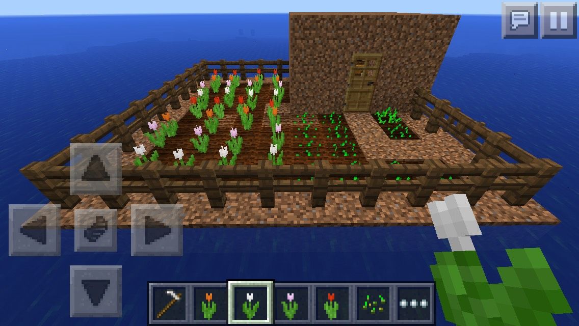 Minecraft House and Garden