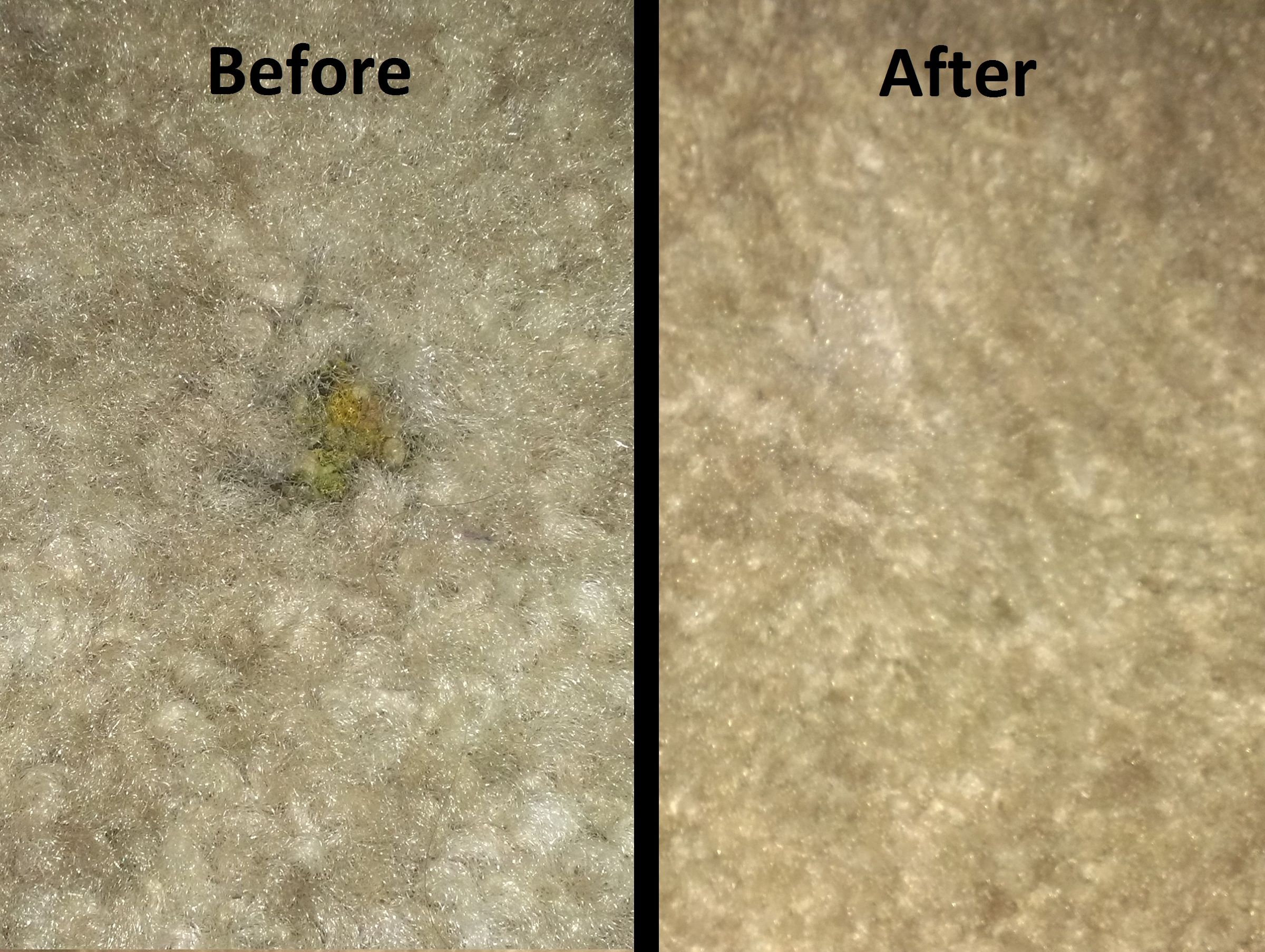 Making Small Stains / Burns / Holes in Carpet As If They Never Happened