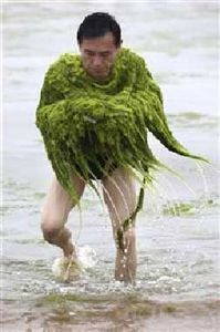 Harvesting Algae