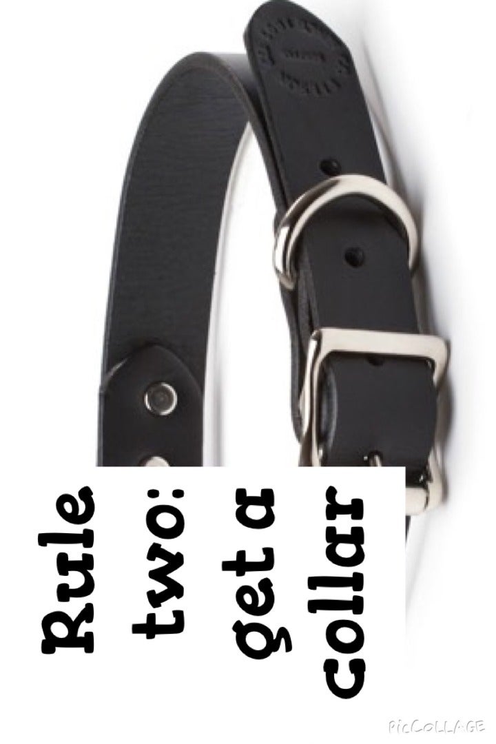 The Proper Care and Feeding Of...DOGS!!! 3 Steps Instructables