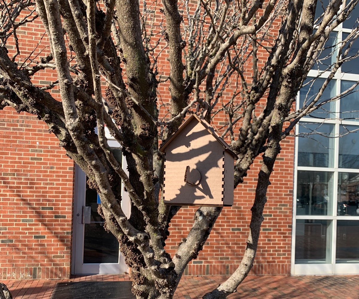 Laser Cut Birdhouse Pinhole Camera