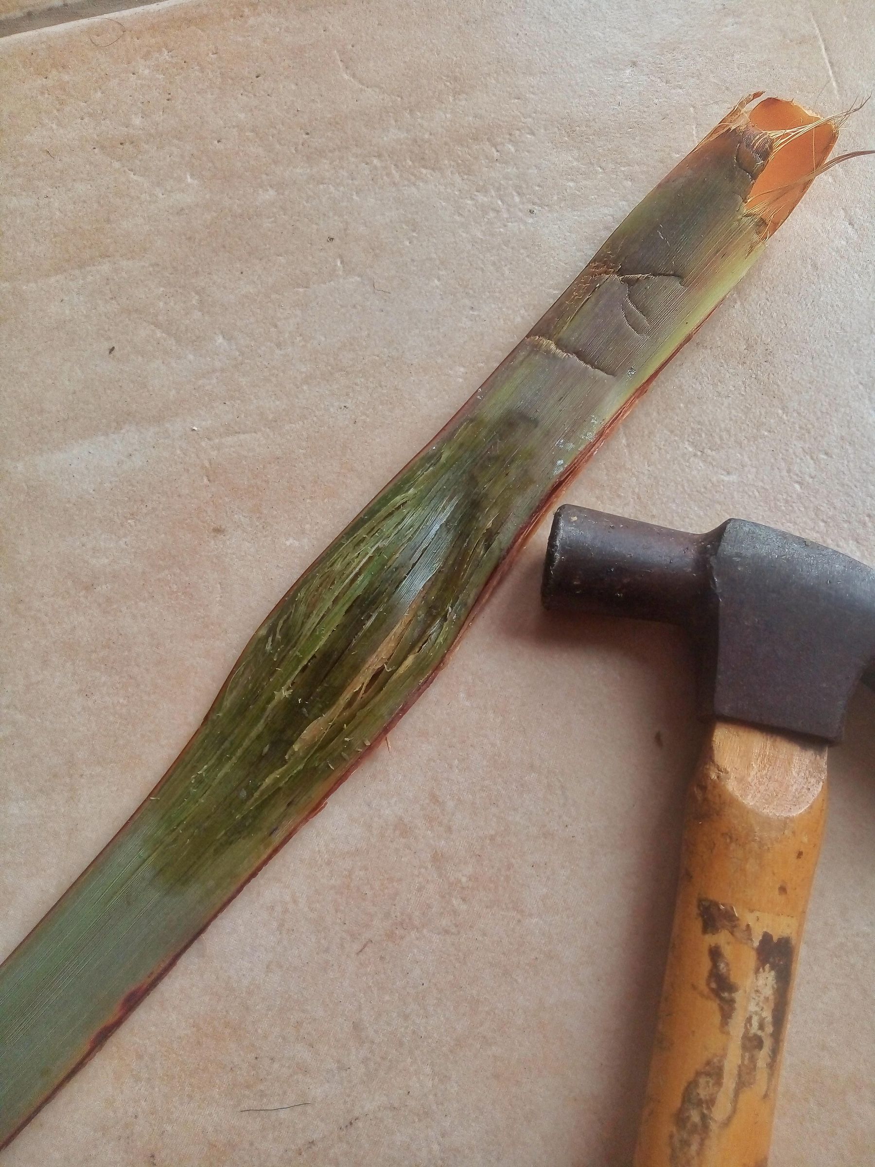 How to Make Rope / String With Natural Plant Fibers : 6 Steps (with ...