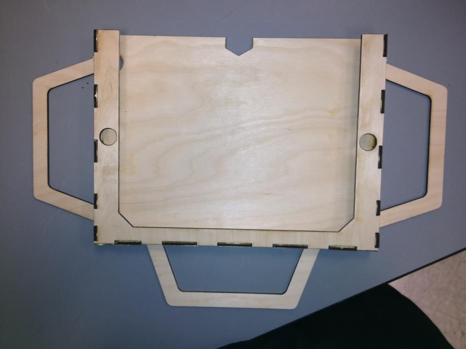 Team IPenguins IPad Case