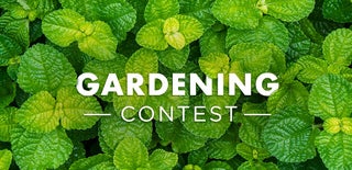 Gardening Contest