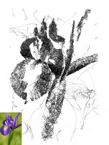 Make Your Own Scribble Drawing