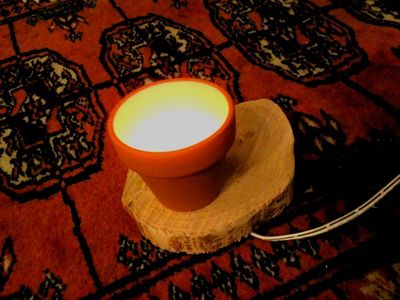 A Flower Pot of Light
