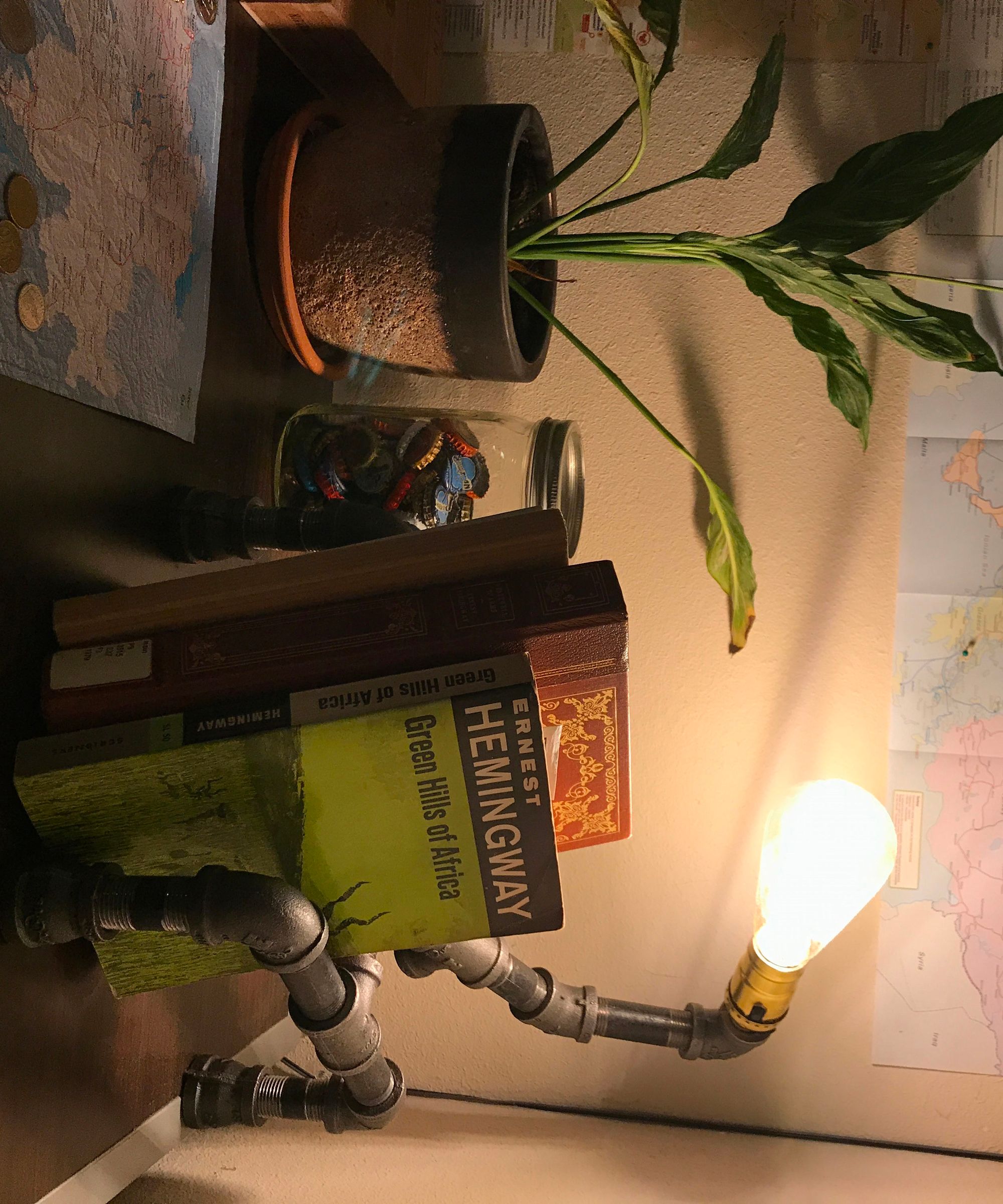 Bookshelf Pipe Lamp 