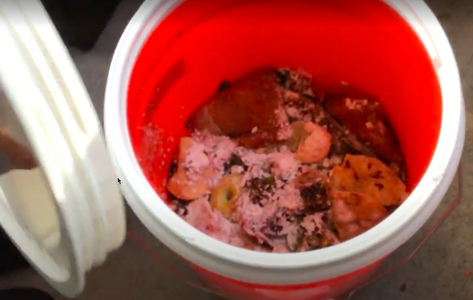 Add Food Waste & Bacteria