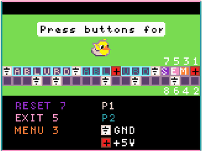 Connect the Cables to the Raspberry