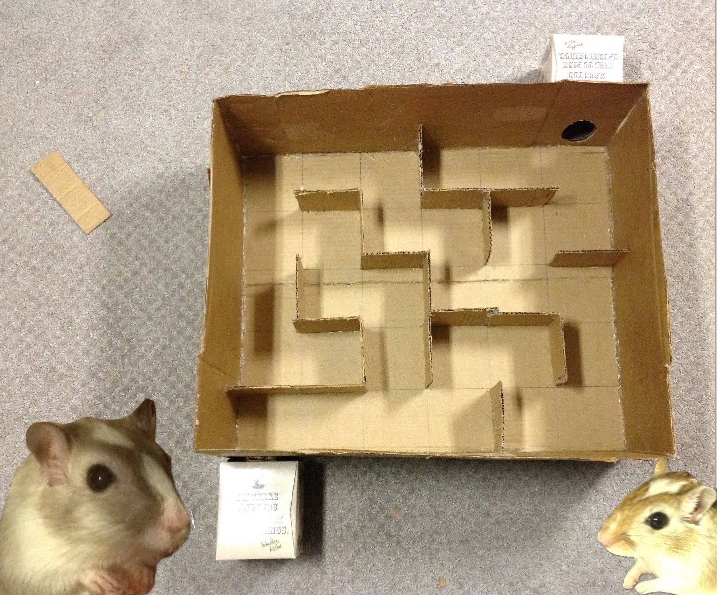 Small Critter Maze
