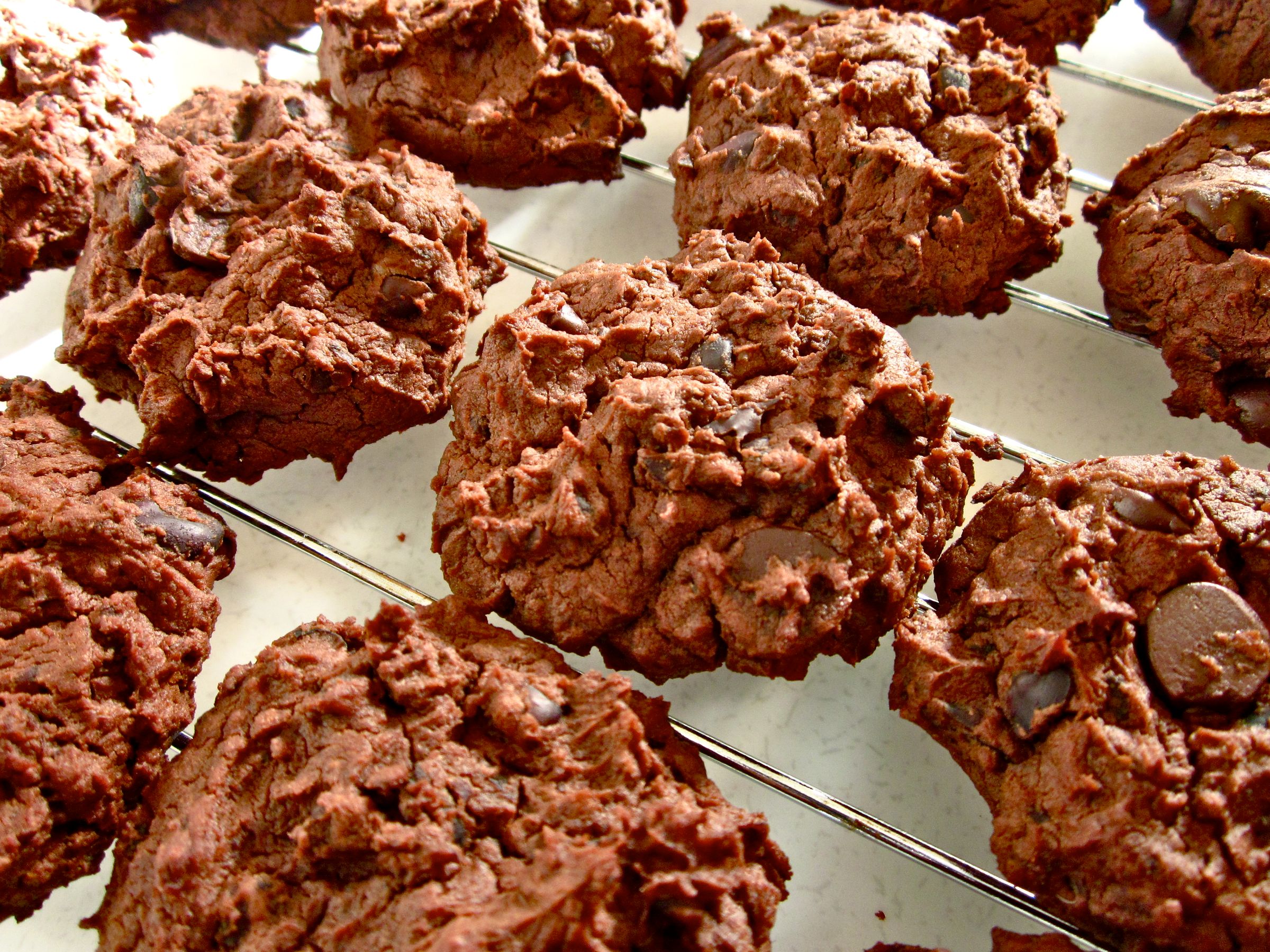 Chocolatey Peanut Butter Black Bean Cookies