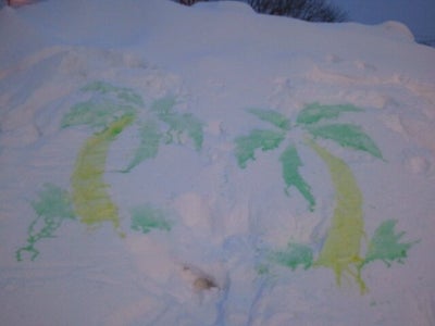 Snow Bank Street Art