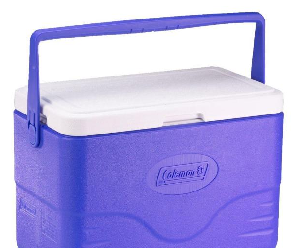 Repurposing a Cooler for COVID-19 Shopping