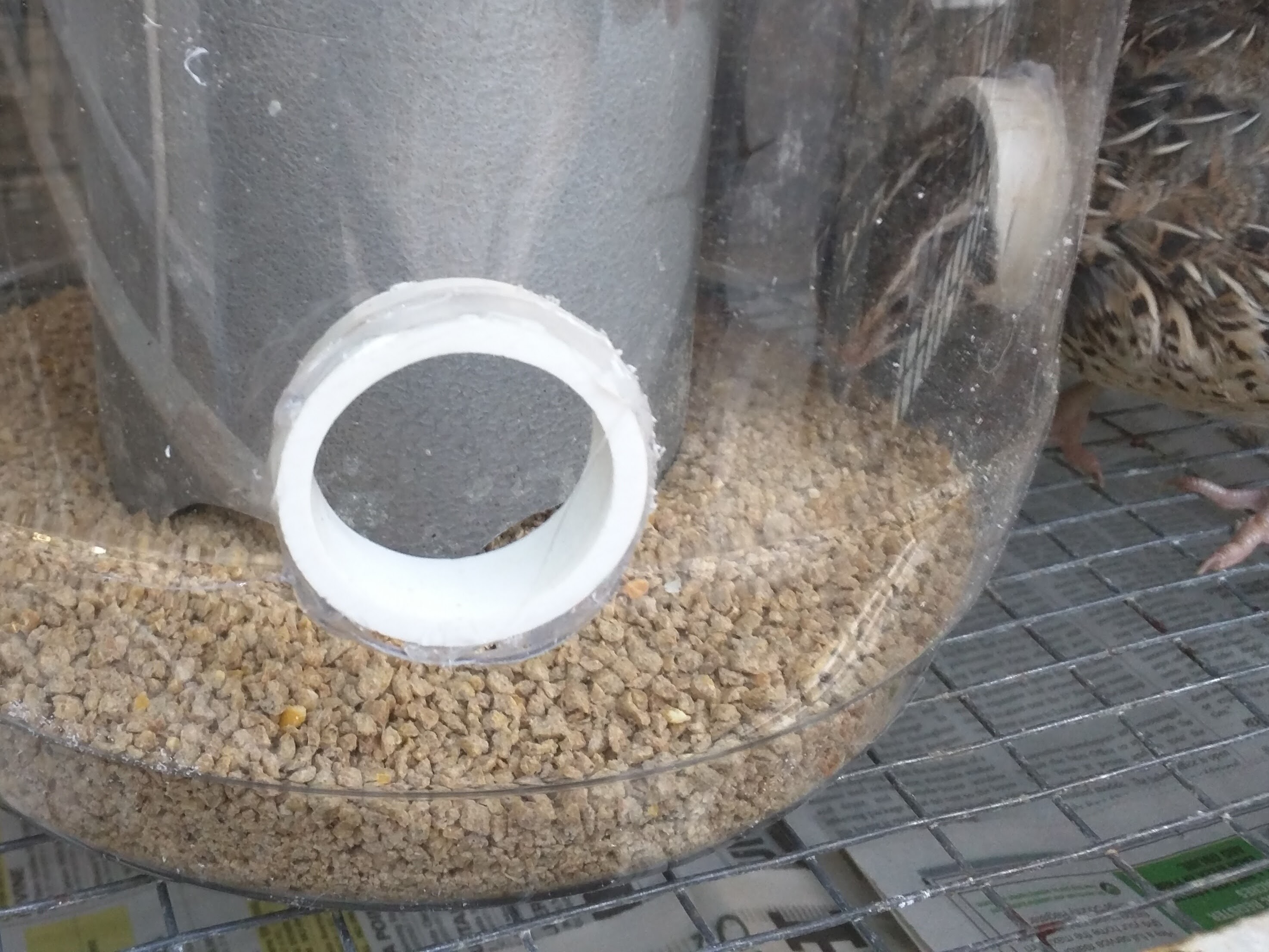 No Waste Quail Feeder 3 Steps (with Pictures) Instructables