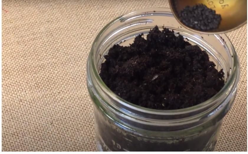 How to Create a Small Indoor Herb Garden Using Mason Jars