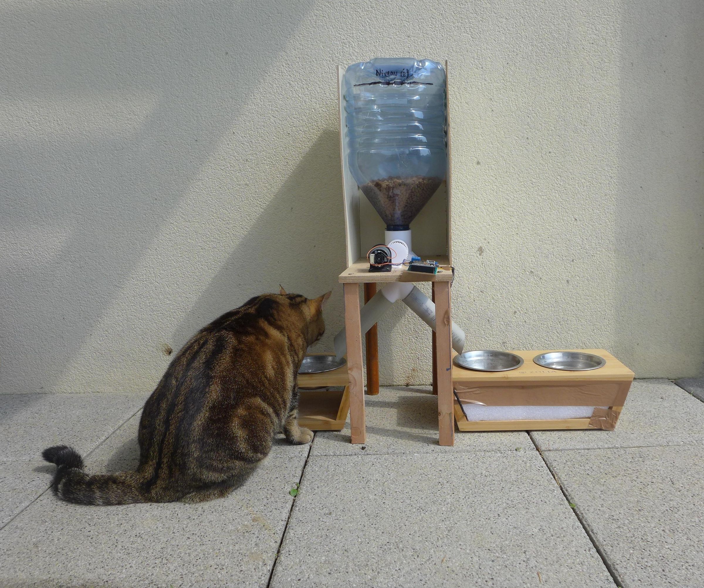 Automatic Kibble Dispenser