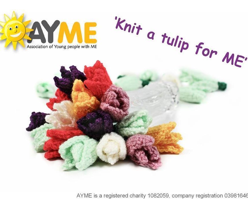 Knit a Tulip for ME 