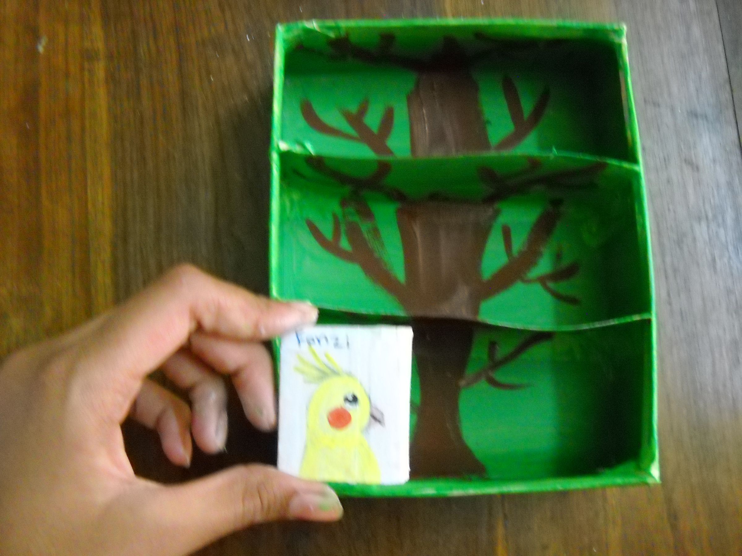 Parrot Feather Memoire Drawers.