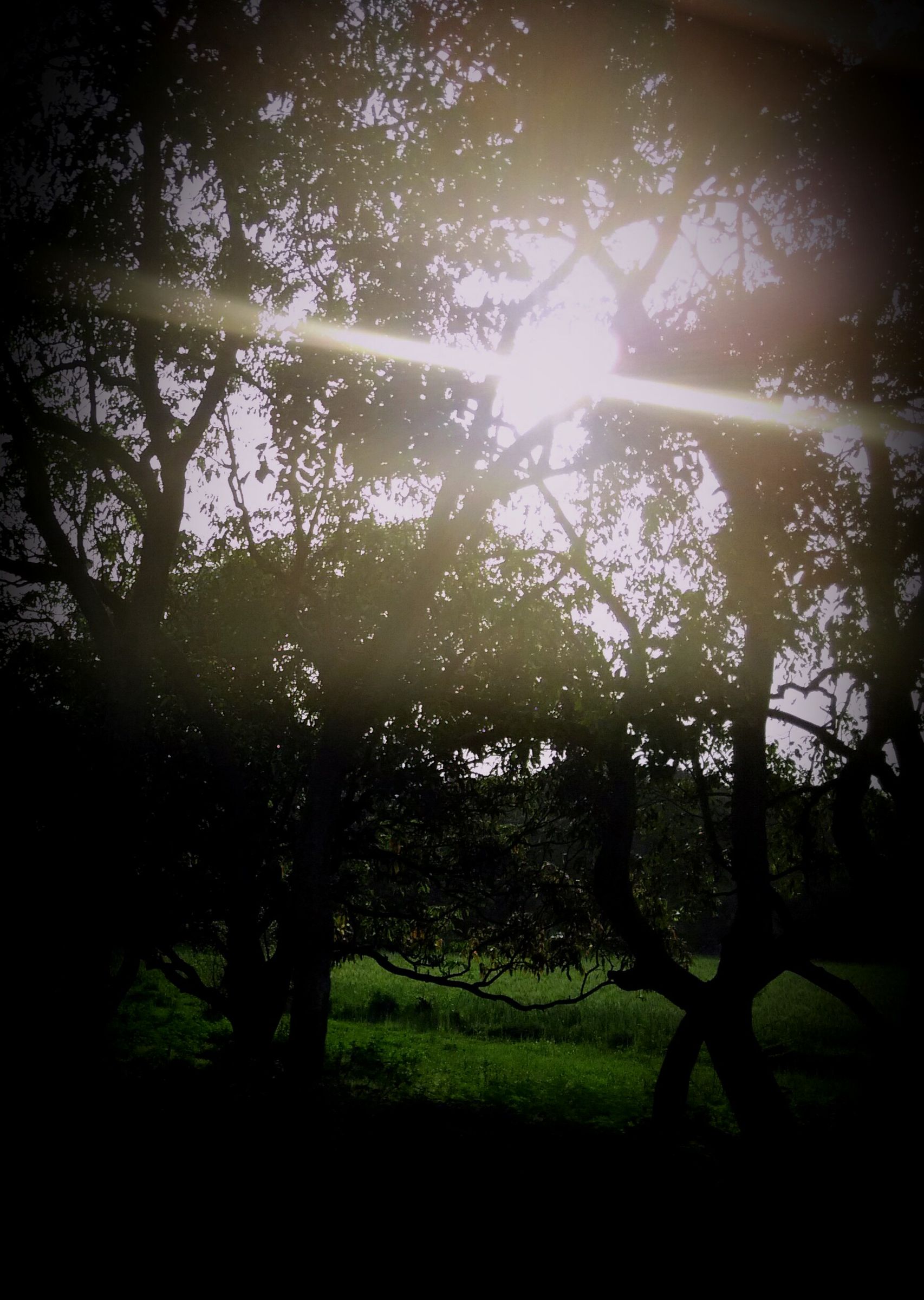 Particle Theory of Sunlight