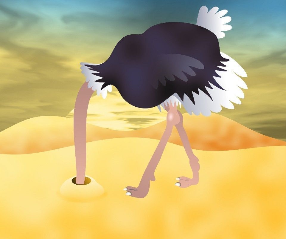 Virtual Hide-and-Seek Game