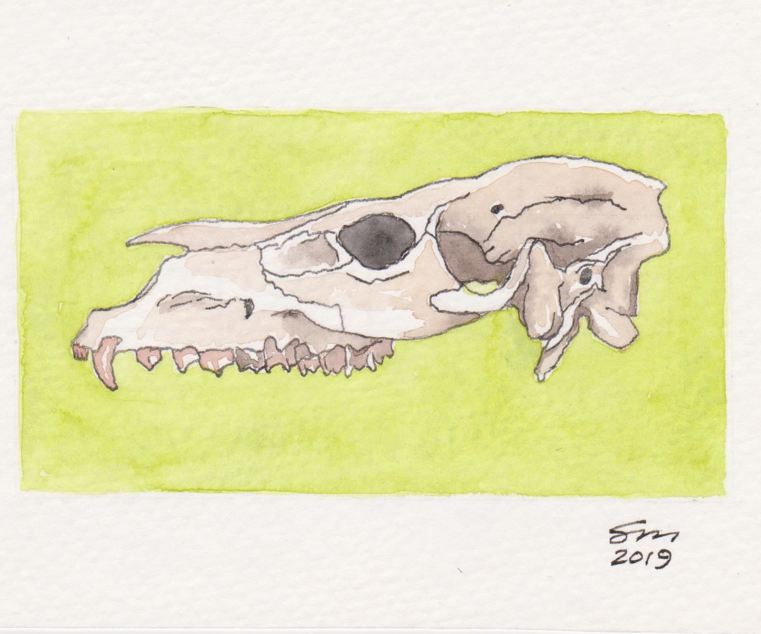 Drawing, Grid Method