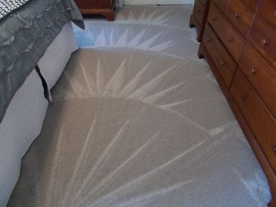  an Instant Guide for Choosing Finest Carpet Cleaning Options in Evanston