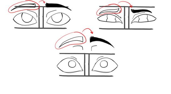 Eyebrows 