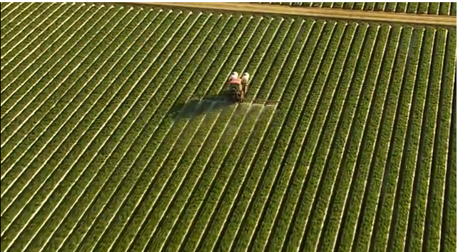 Sustainable Farming