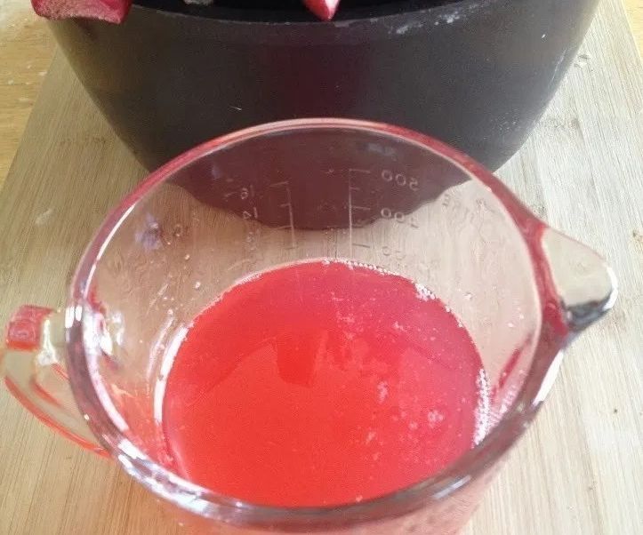 Rhubarb Syrup