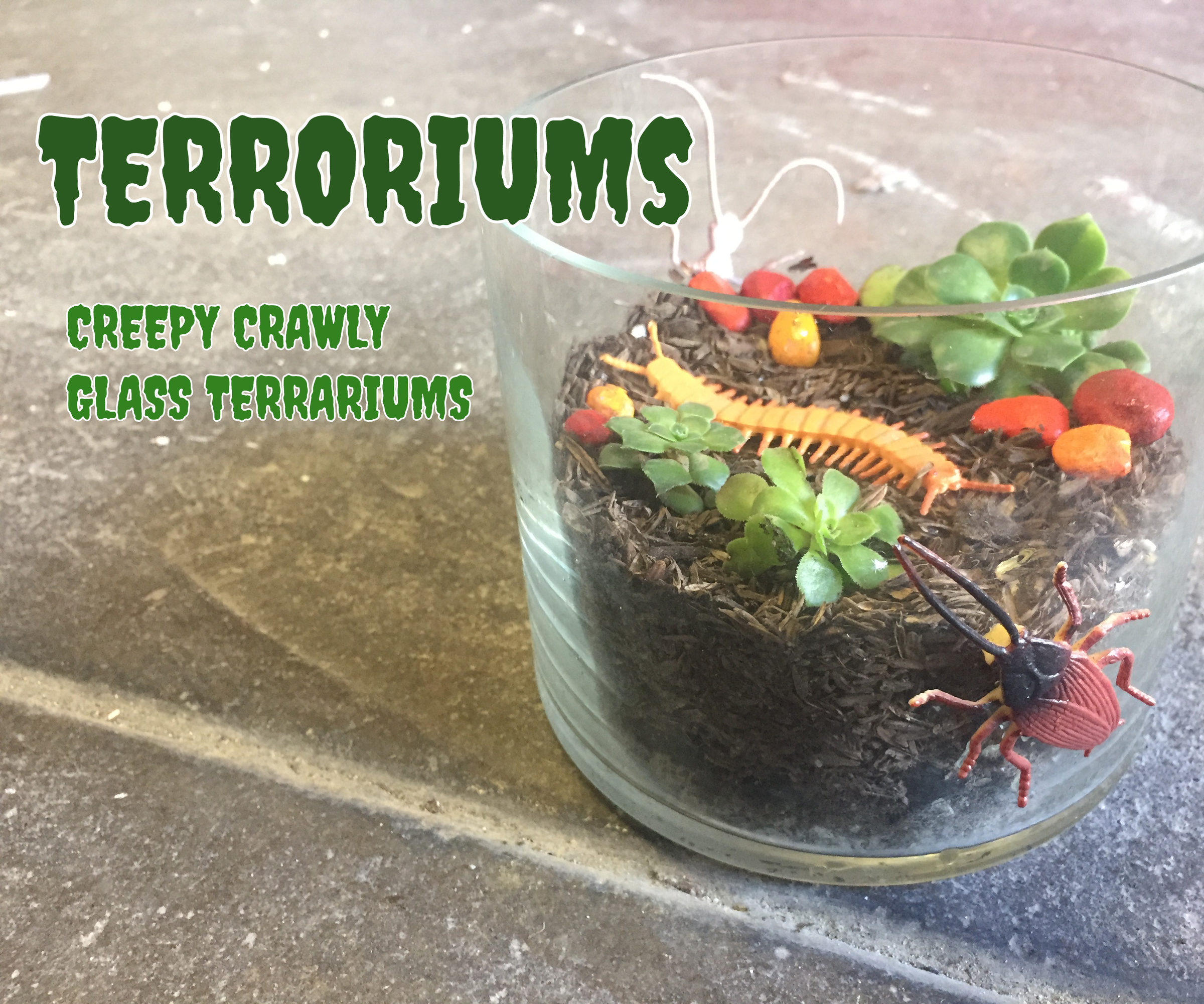 TERRORiums: Creepy Crawly Terrariums
