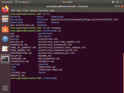 Installation of Esptool, Access GIT Repo, and Test Build.