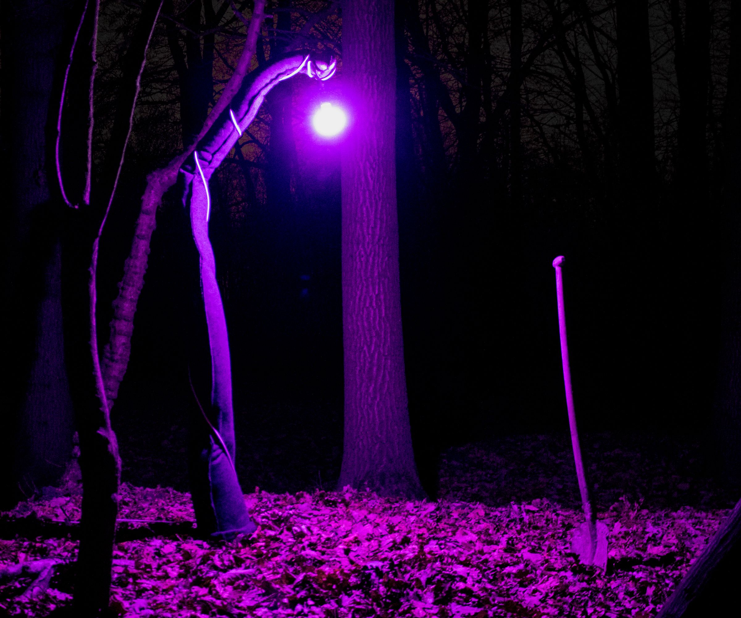 Appendage Lamp