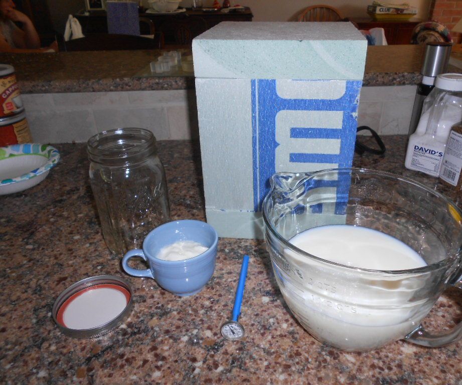 Make Yogurt