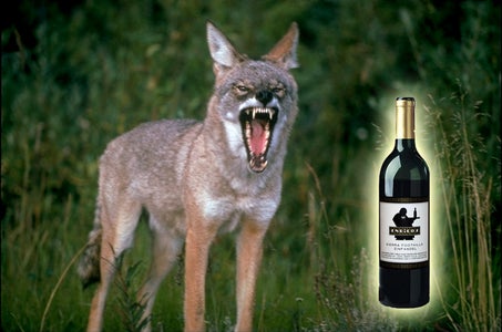 Open a Wine Bottle in the Wilderness