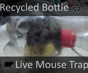Recycled Bottle Live Mouse Trap