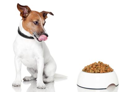​‘Wait’